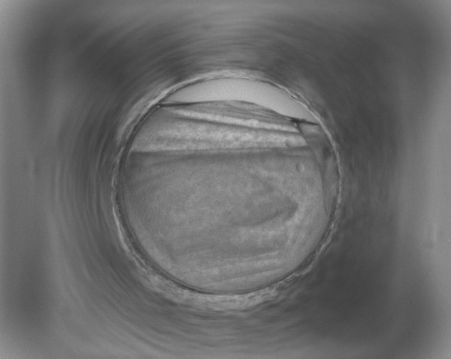 X0000078850001200612041918