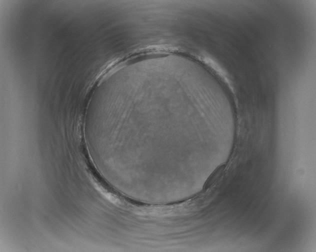 X0000078850009200612041918