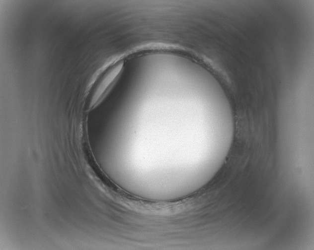 X0000078850015200612041918