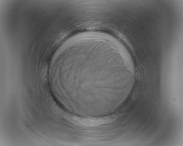 X0000078850018200612041918