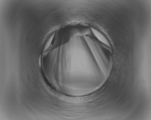 X0000078850019200612041918