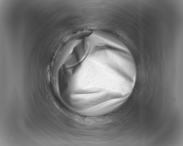 X0000078850022200612041918