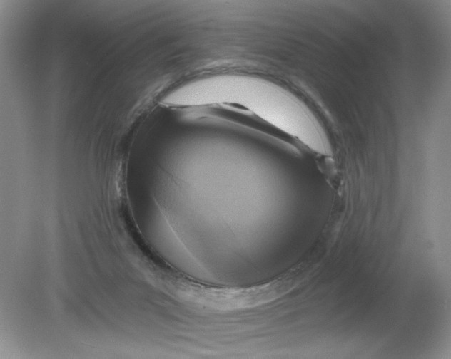 X0000078850023200612041918