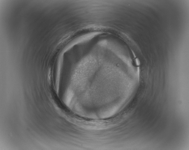 X0000078850024200612041918