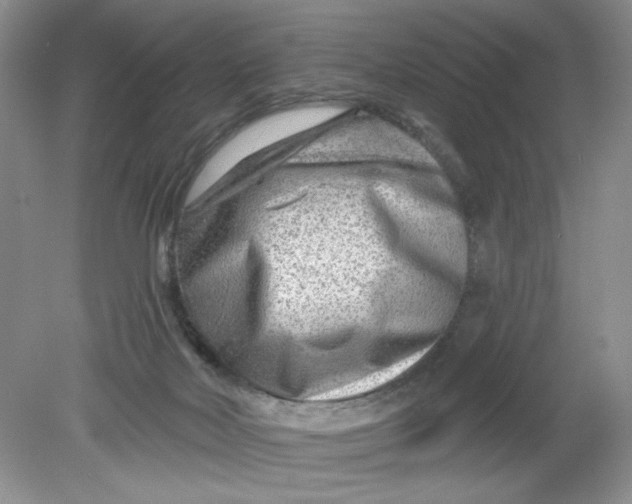 X0000078850026200612041918