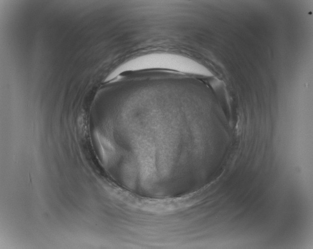 X0000078850029200612041918