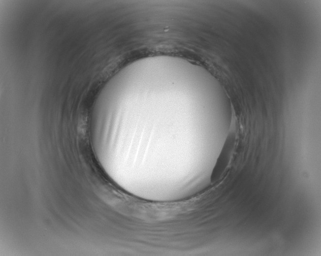 X0000078850033200612041918