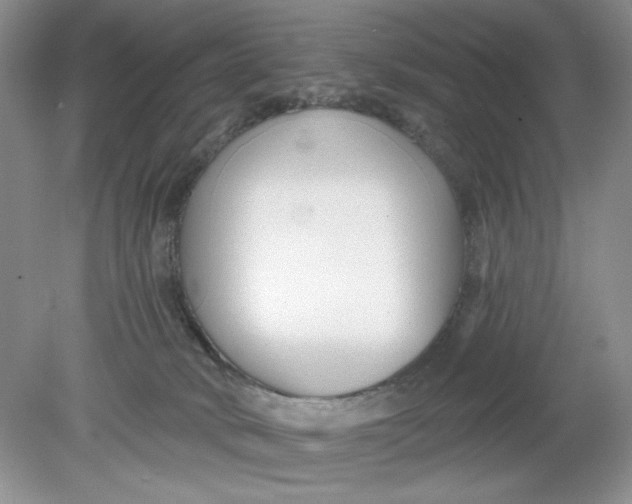 X0000078850034200612041918