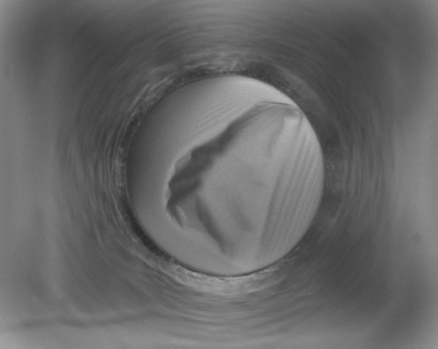 X0000078850035200612041917