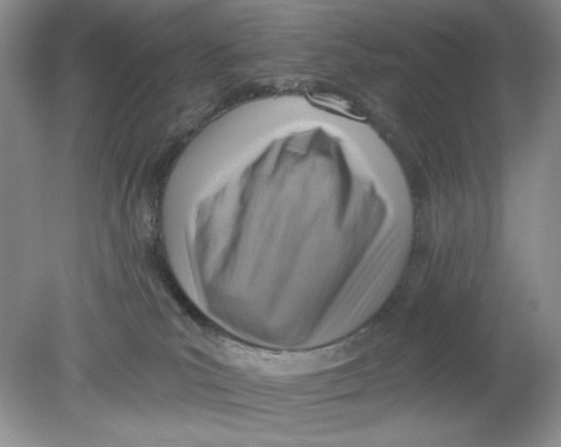 X0000078850039200612041917