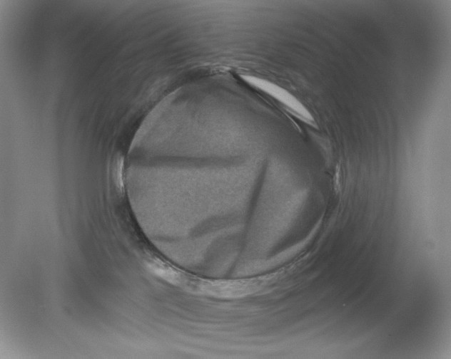 X0000078850041200612041917