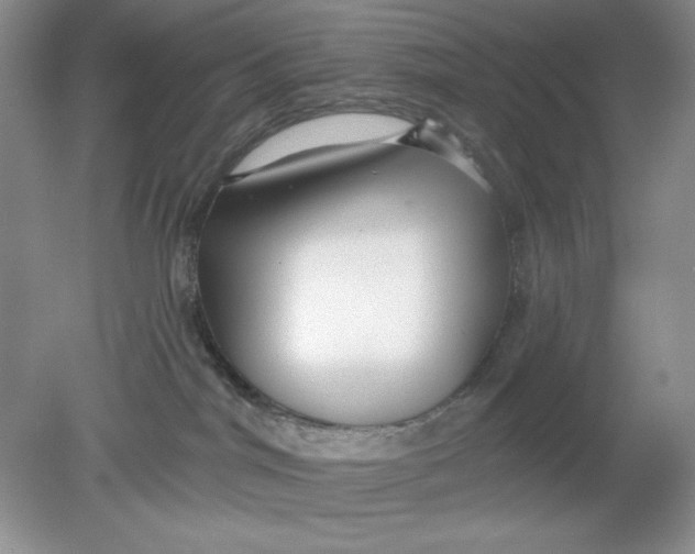 X0000078850044200612041917