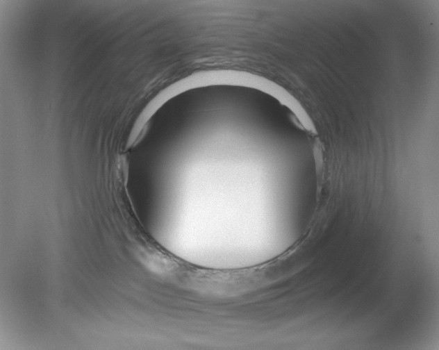 X0000078850045200612041917