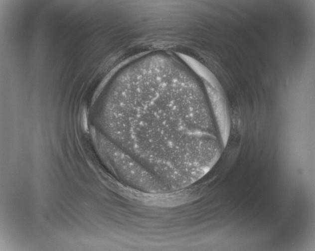 X0000078850046200612041917