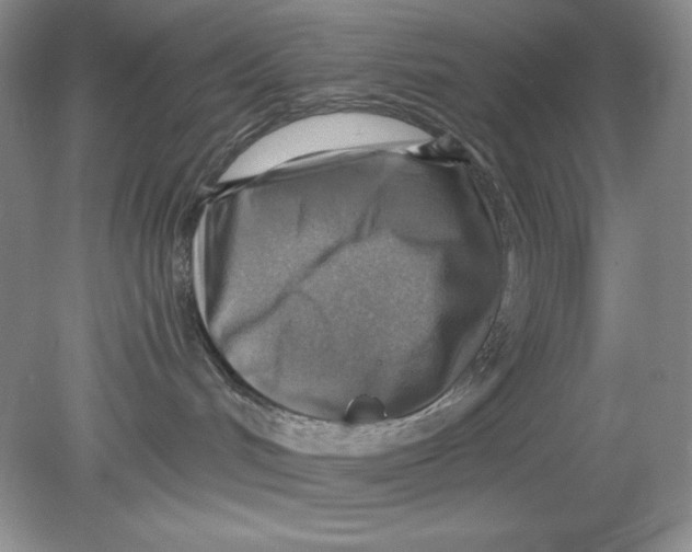 X0000078850048200612041917