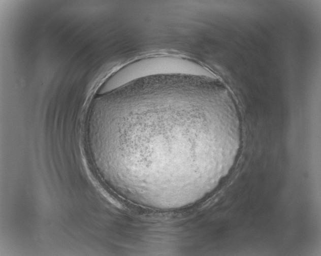 X0000078850049200612041916