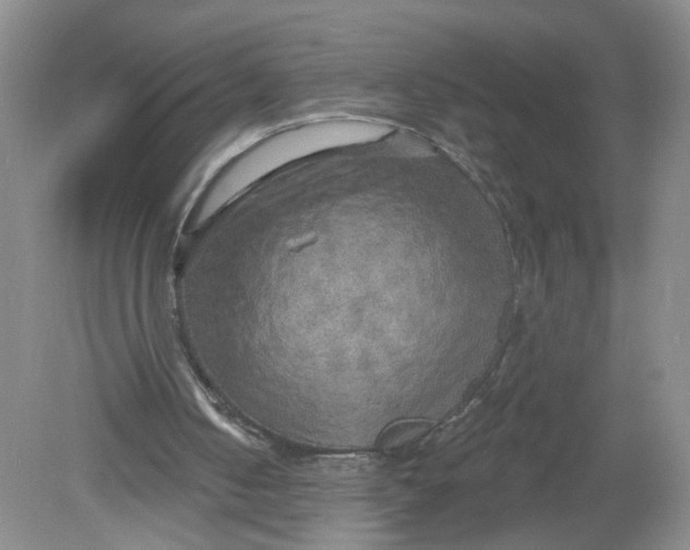 X0000078850050200612041916