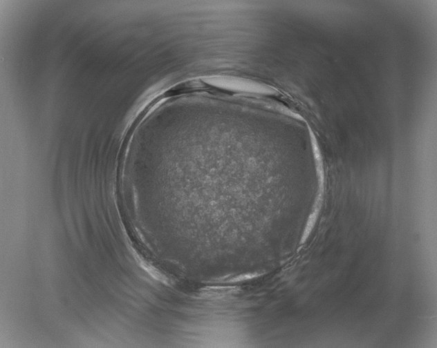 X0000078850051200612041917