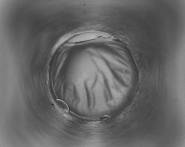 X0000078850054200612041917