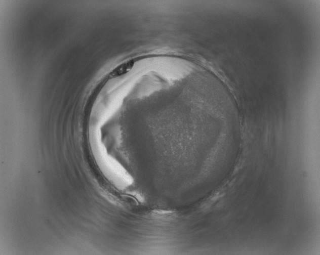X0000078850055200612041917