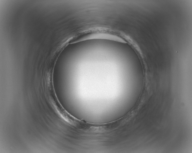 X0000078850057200612041917