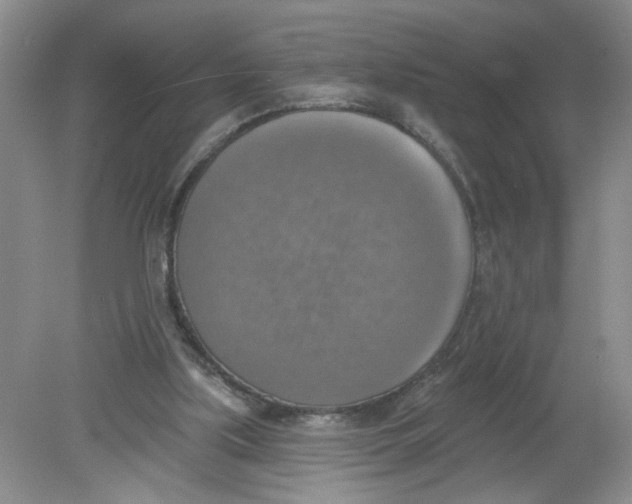 X0000078850059200612041917