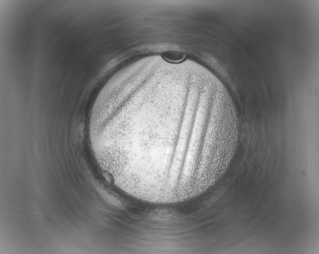 X0000078850063200612041917