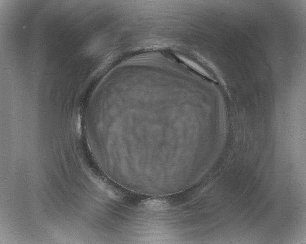 X0000078850067200612041917
