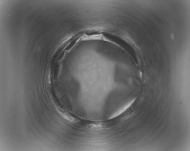 X0000078850068200612041917