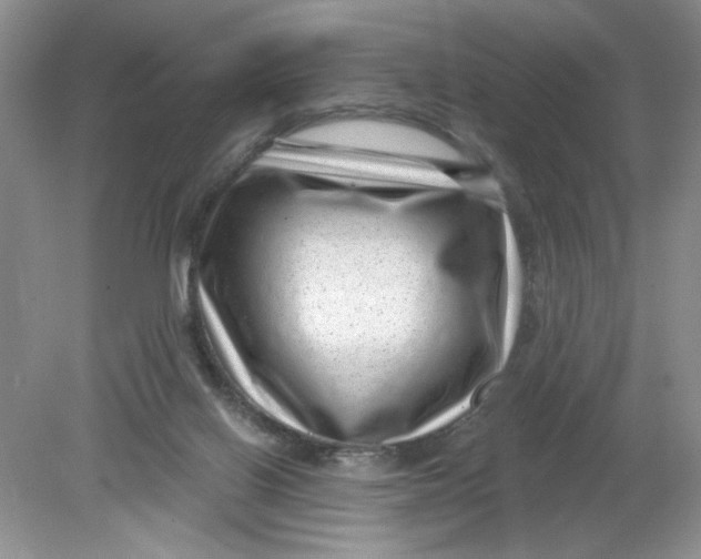 X0000078850070200612041917