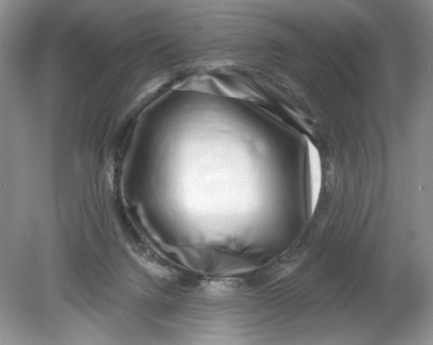 X0000078850072200612041917