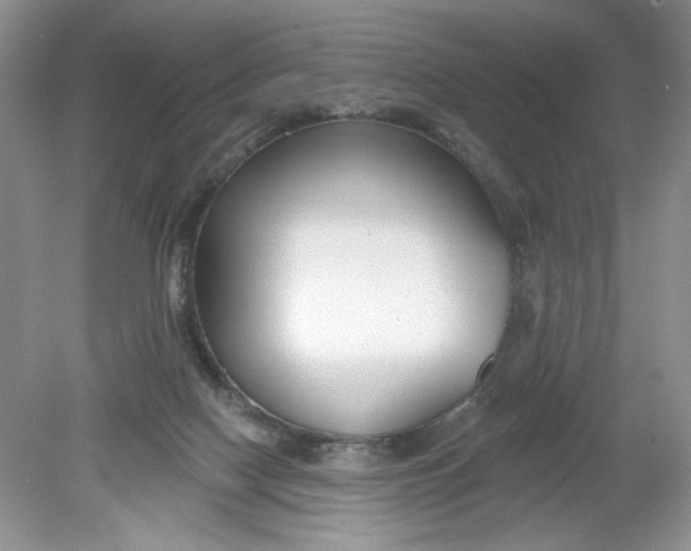 X0000078850074200612041917