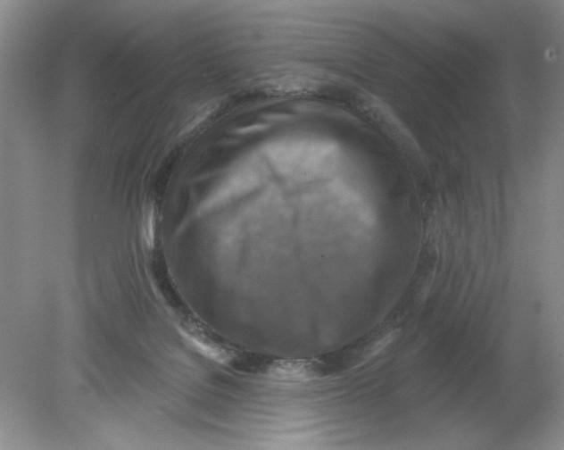 X0000078850076200612041917
