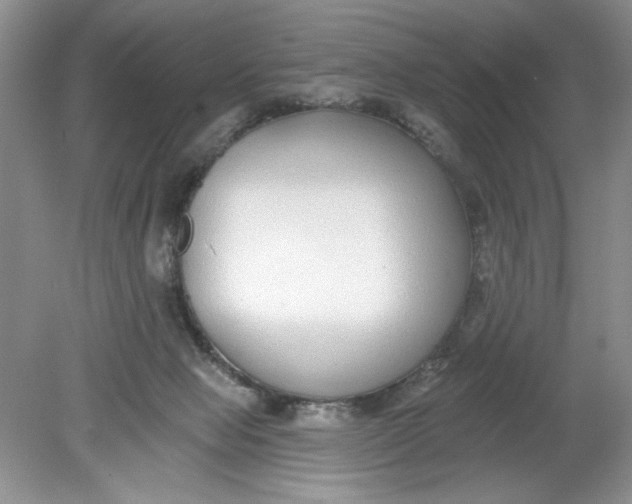 X0000078850077200612041917