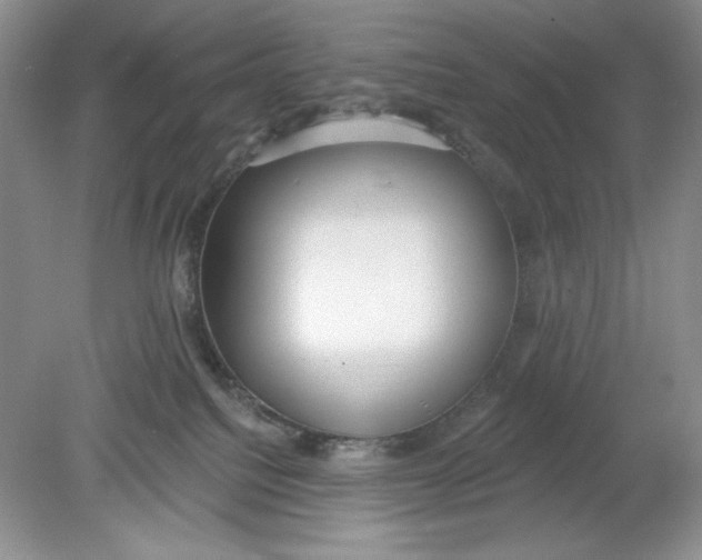 X0000078850088200612041917