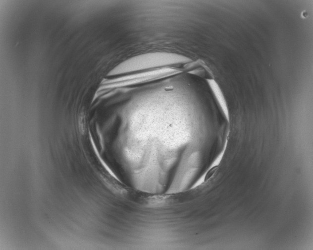X0000078850090200612041917