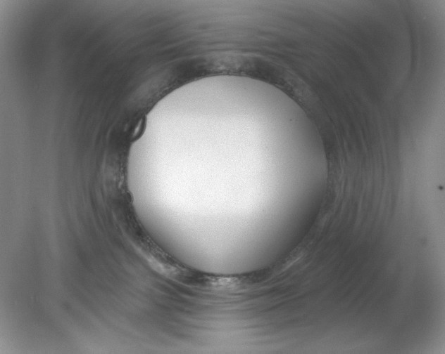 X0000078850091200612041917