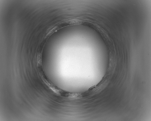X0000078850096200612041917