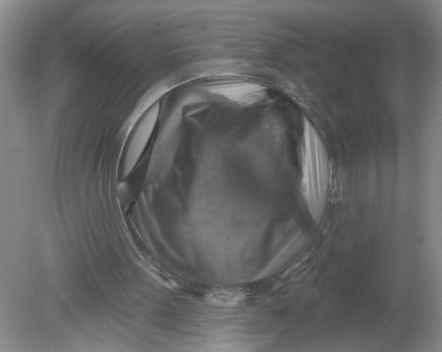 X0000078850099200612041916