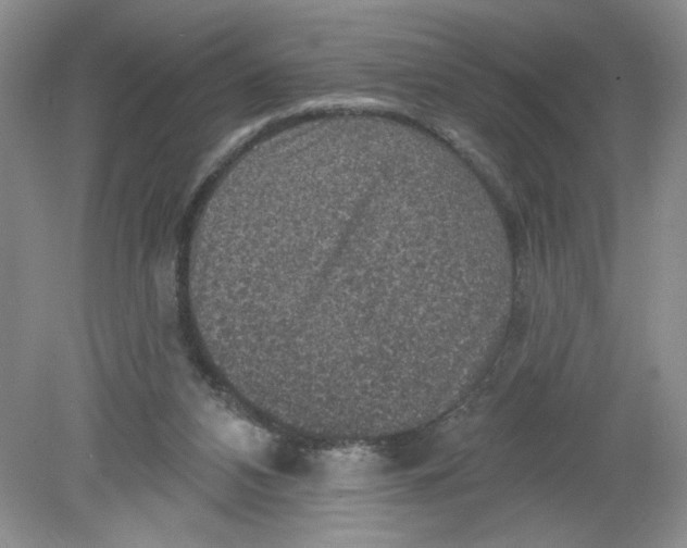 X0000078850112200612041916