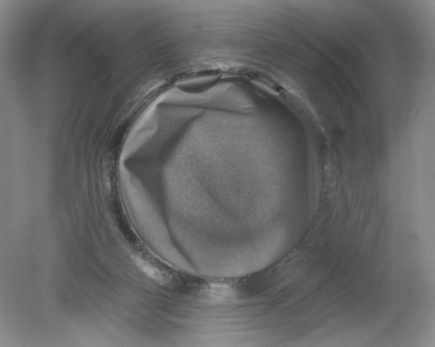 X0000078850114200612041916