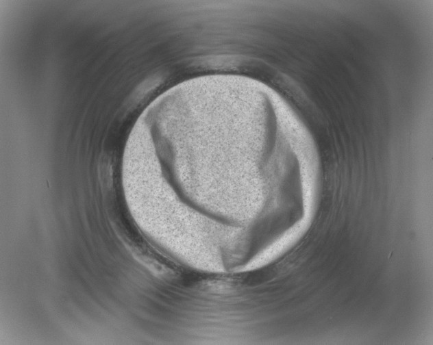 X0000078850120200612041916