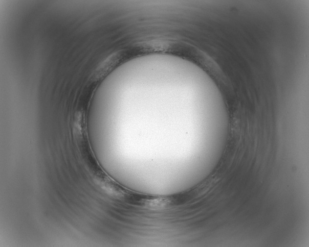 X0000078850122200612041916