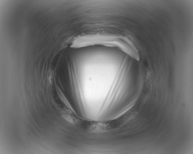X0000078850125200612041916