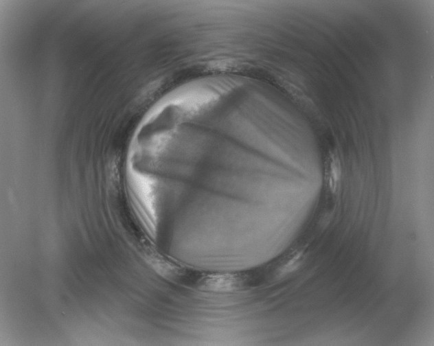 X0000078850127200612041916
