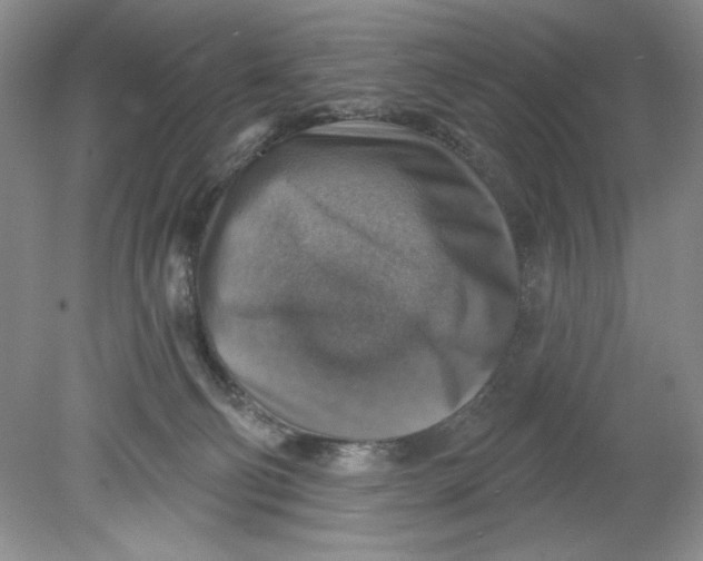 X0000078850130200612041916