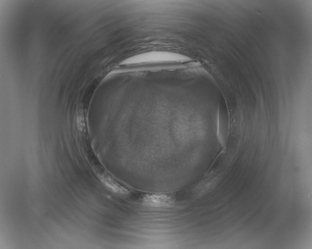 X0000078850137200612041916