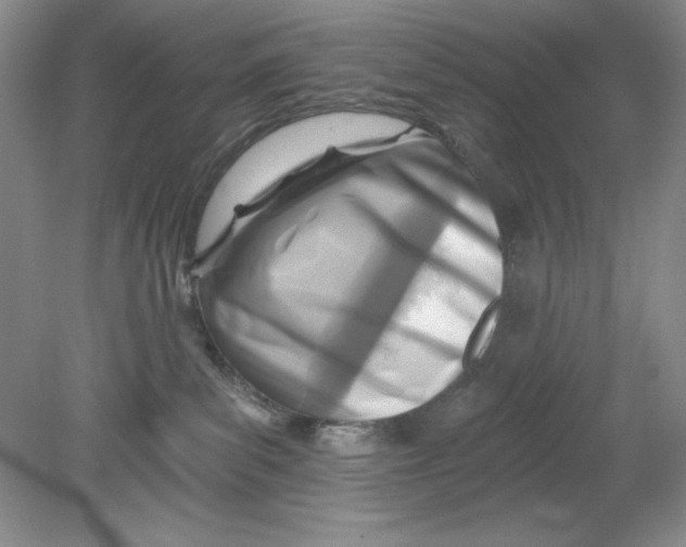 X0000078850139200612041916