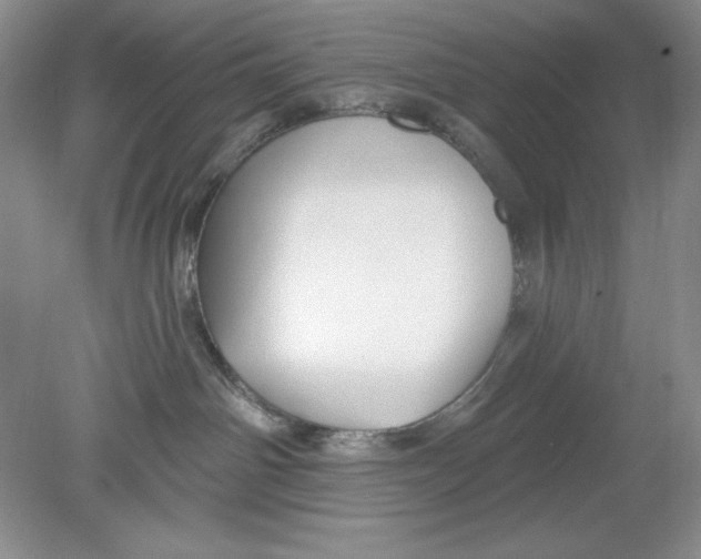 X0000078850142200612041916