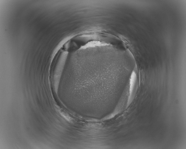 X0000078850147200612041915